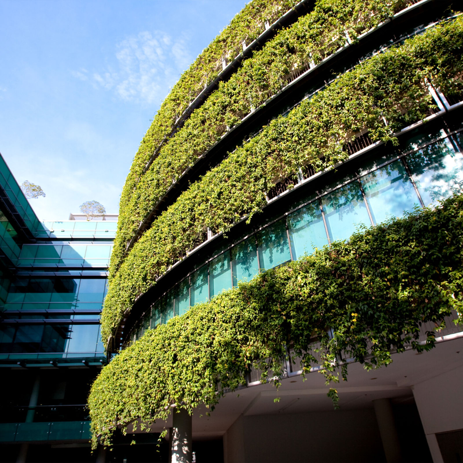 Can the Construction Sector Be Effective in Combating Climate Change?